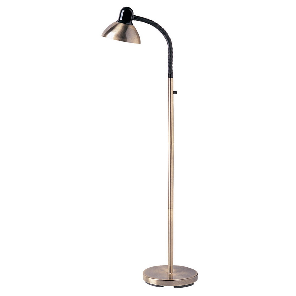 Gooseneck Floor Lamp