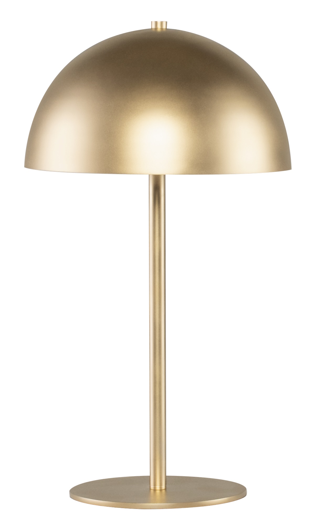 ROCIO TABLE LIGHTING in GOLD METAL with GOLD BODY